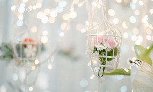 Sri Sounds and Light Decoration , Bangalore